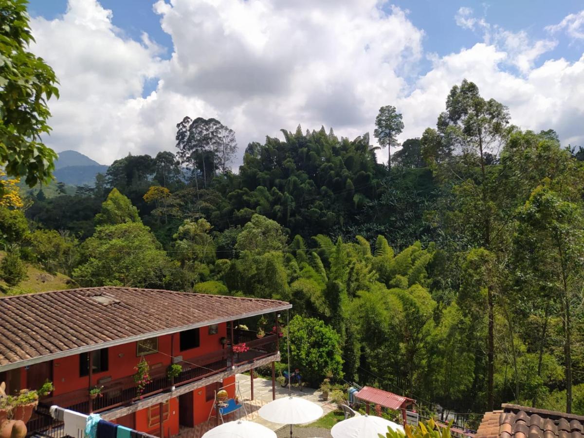 Hotel Orillas Del Pizano Jardin Dış mekan fotoğraf
