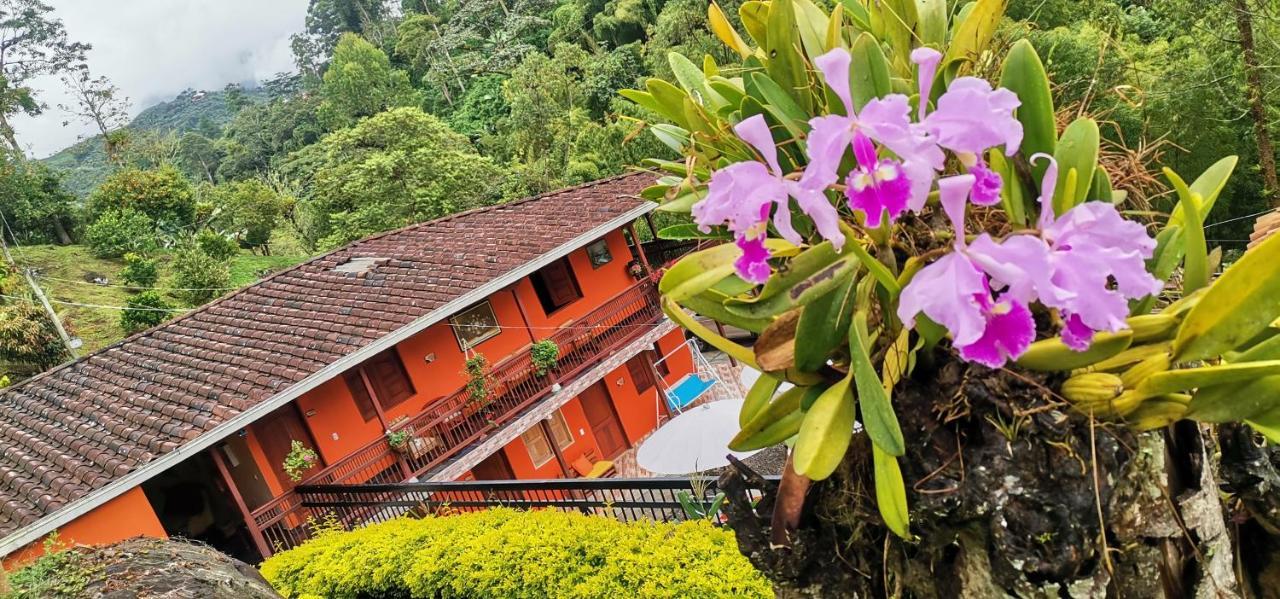 Hotel Orillas Del Pizano Jardin Dış mekan fotoğraf