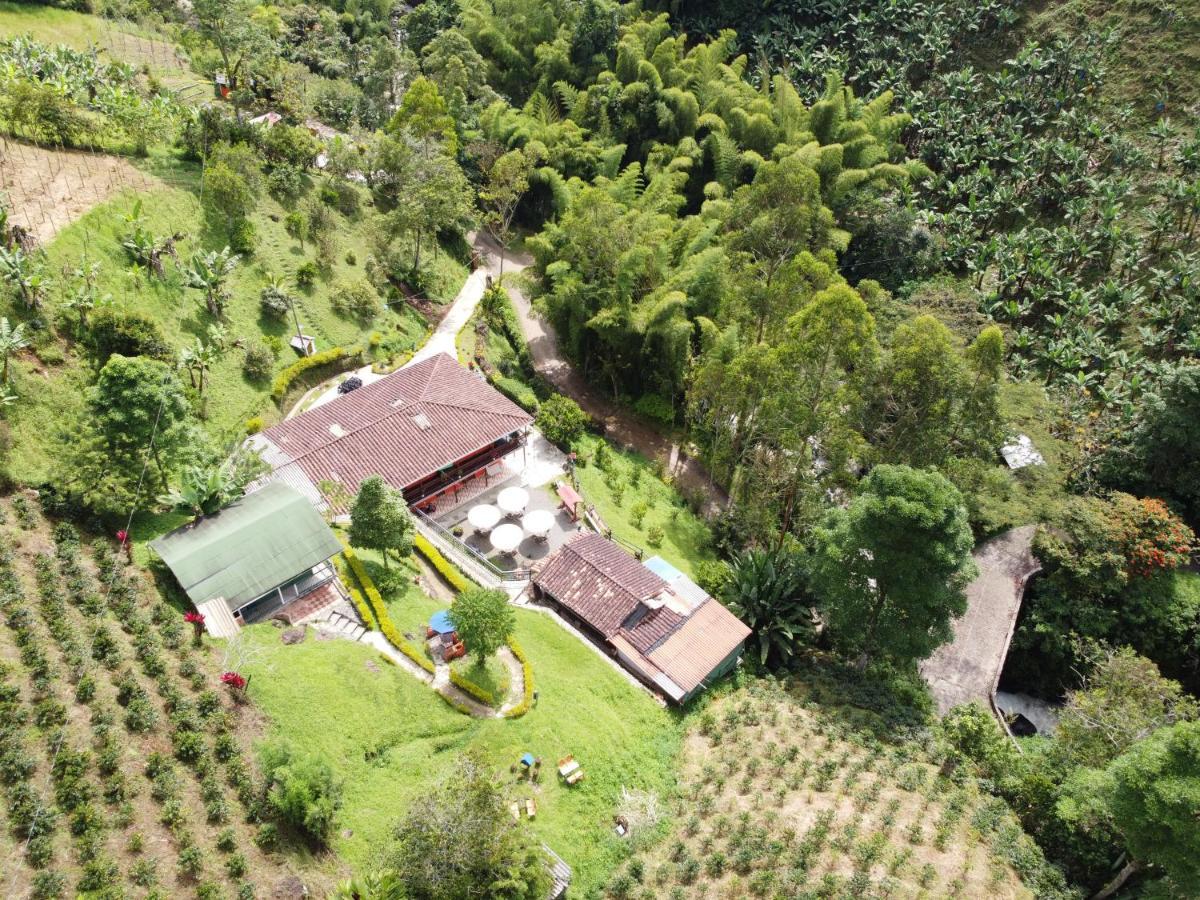 Hotel Orillas Del Pizano Jardin Dış mekan fotoğraf