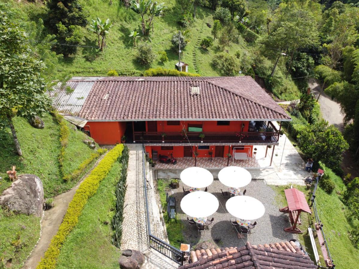 Hotel Orillas Del Pizano Jardin Dış mekan fotoğraf