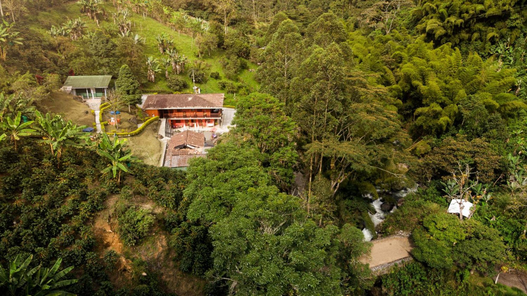Hotel Orillas Del Pizano Jardin Dış mekan fotoğraf