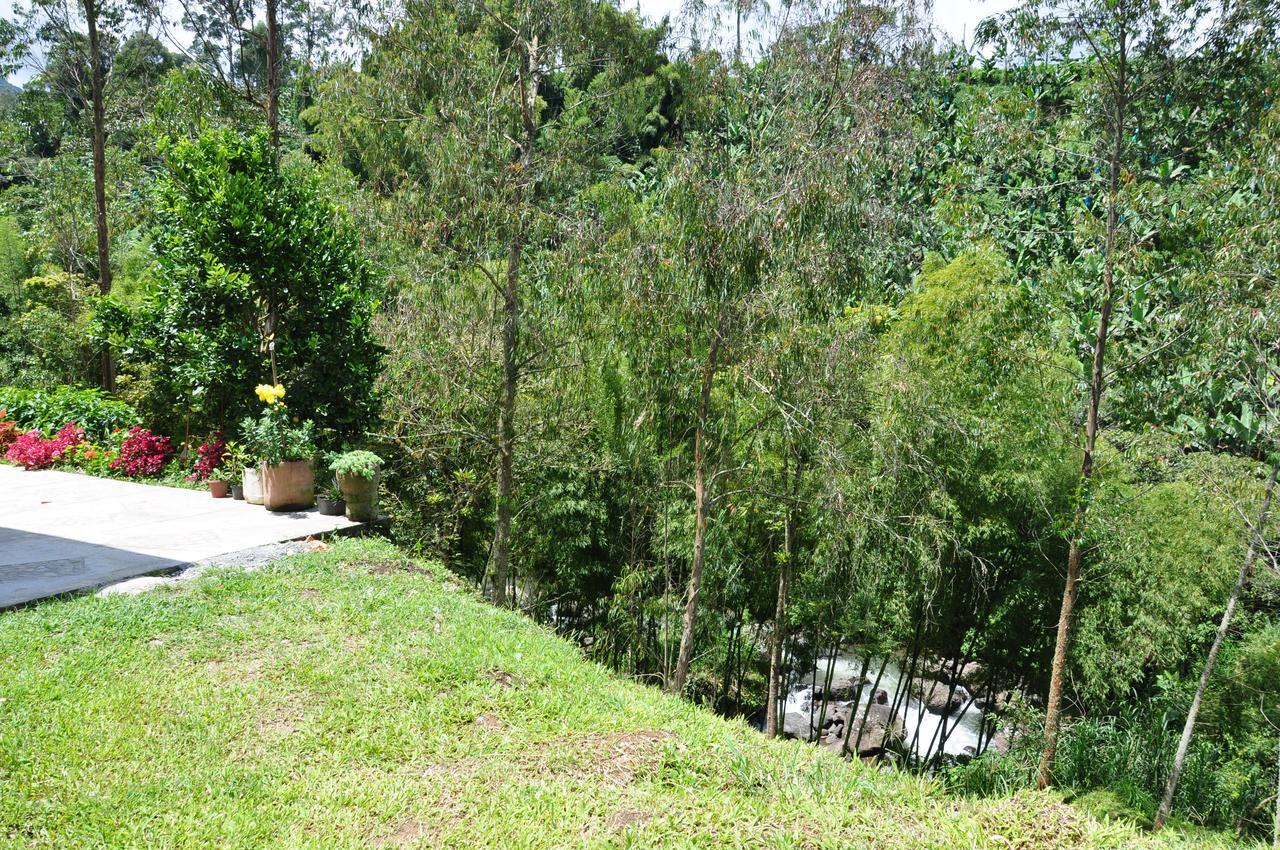Hotel Orillas Del Pizano Jardin Dış mekan fotoğraf
