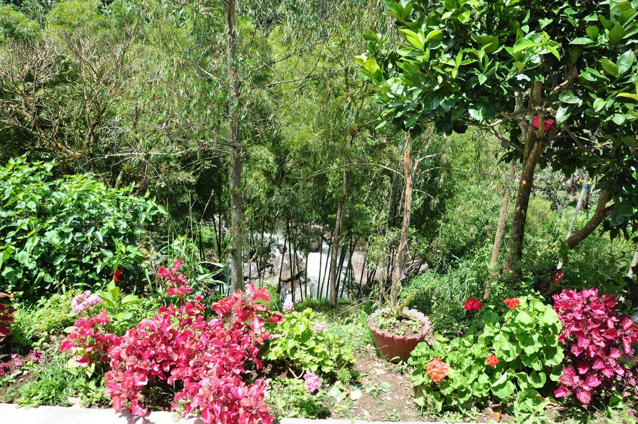 Hotel Orillas Del Pizano Jardin Dış mekan fotoğraf